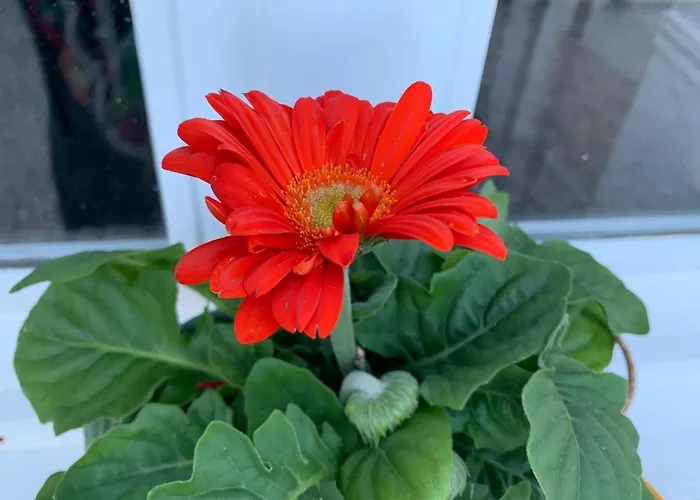 Dom wakacyjny Le Pigeonnier Le Verdier (Tarn)